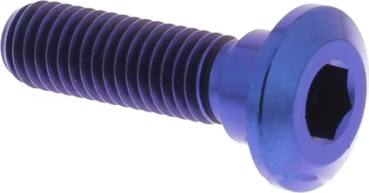 Brake disc screw JMP bolt M8X1. 25mm 30mm titan blue for: Kawasaki Z, VN, ZZR