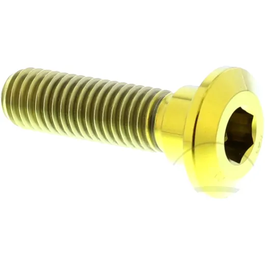 Brake disc screw JMP bolt M8X1. 25mm 30mm titan gold for: Kawasaki Z, VN, ZZR