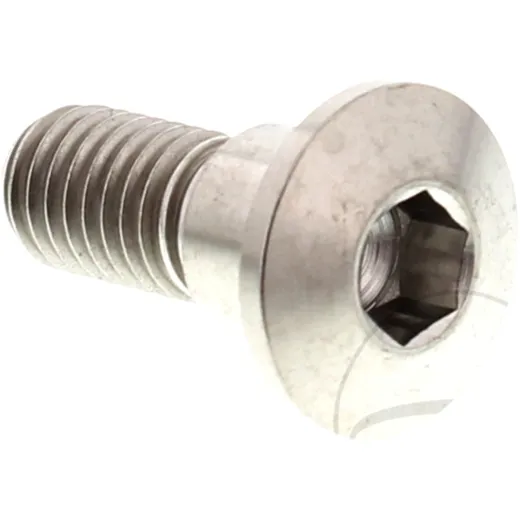 Brake disc screw JMP bolt M8X1. 25mm 22mm titan for: Suzuki AN, LT - A, UH