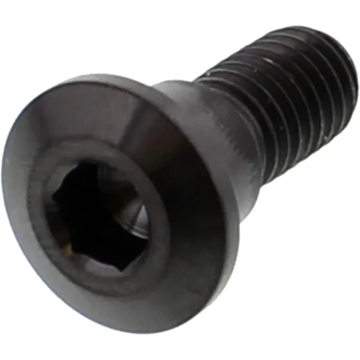 Brake disc screw M8X1. 25mm 22mm titan black for: Suzuki AN, LT - A, UH