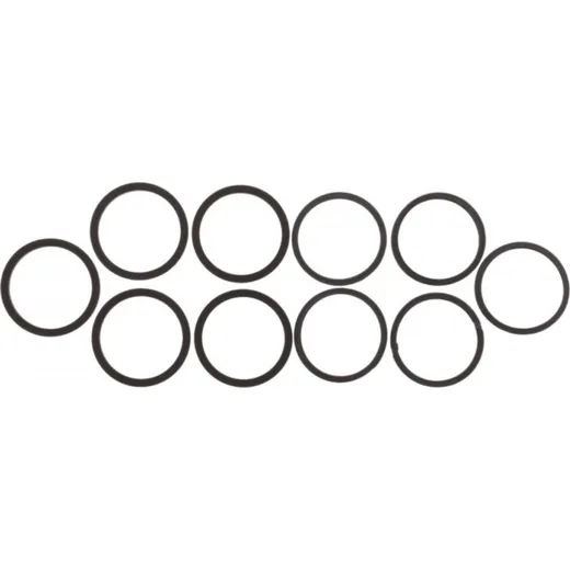 Seal Kit Caliper Piston CPS204L