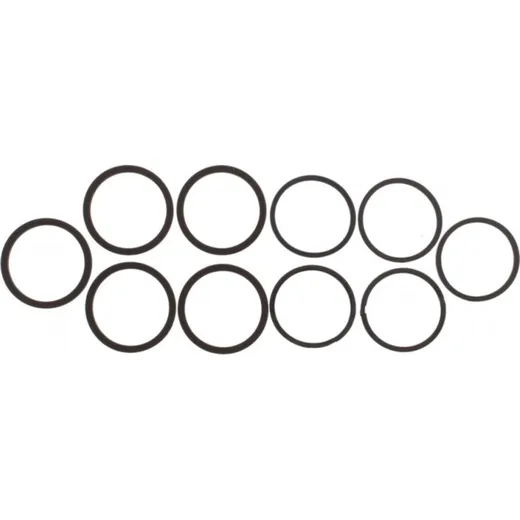 Seal Kit Caliper Piston CPS102
