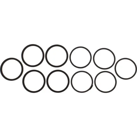 Seal Kit Caliper Piston CPS204U