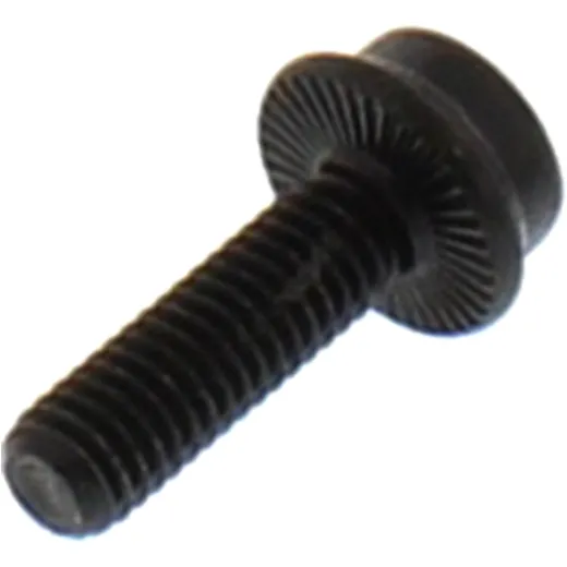 Bolt hex socket M6X1X26mm for: BMW R