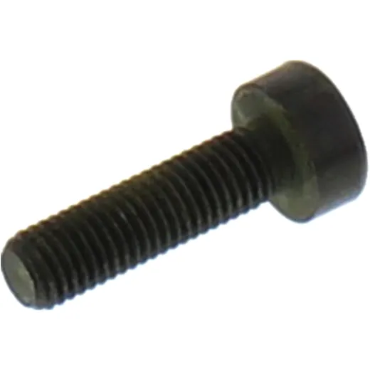 Bolt M7X1X25mm for: BMW K, R, K1