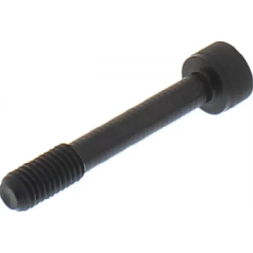 Cylinder Screw