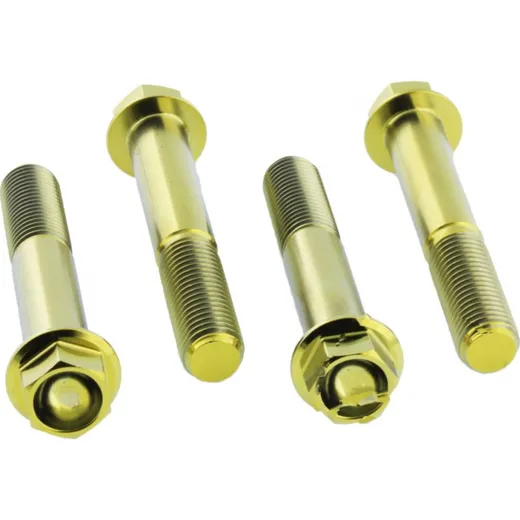 Screw for brake caliper JMP TIFBMON360G
