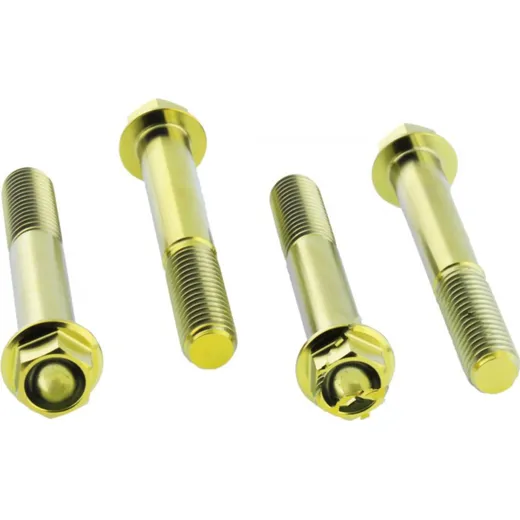 Screw for brake caliper JMP TIFBMON510G