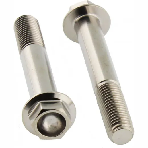 Screw for brake caliper JMP TIFBMON590