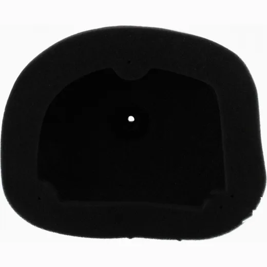 Air filter Foam Athena S410462200002