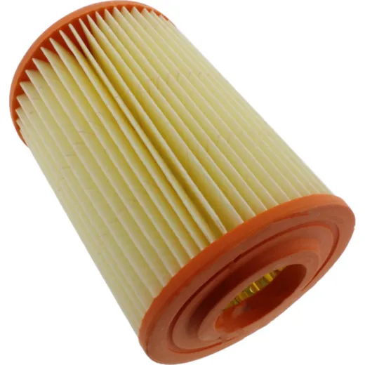 Air filter (orig spare part) 614945