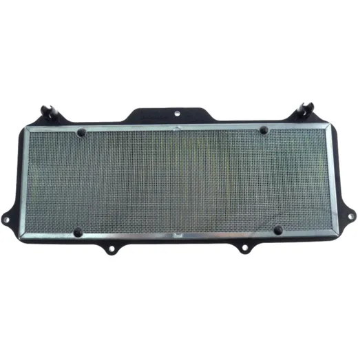 Air filter (orig spare part) 17210MKJD00