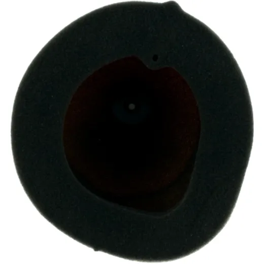 Racing Air Filter Foam for Powerflow Kit_1