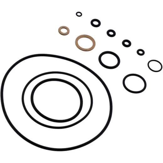 Carburettor repair kit dellorto short SET for: Peugeot Ludix, Speedfight, Jet Force 7242726