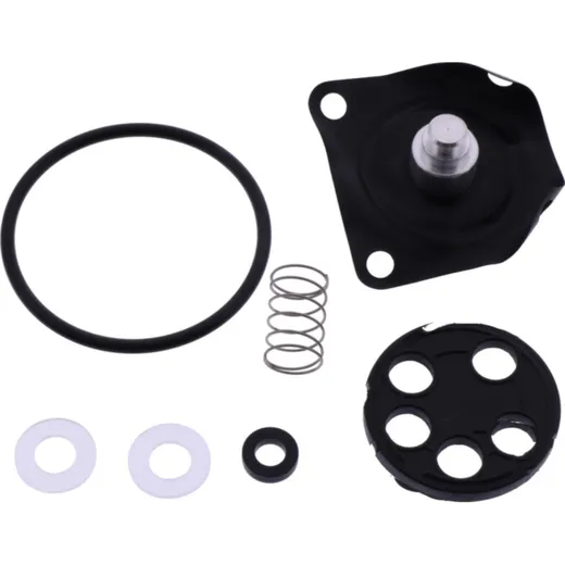 Fuel tank valve repair kit FCK6