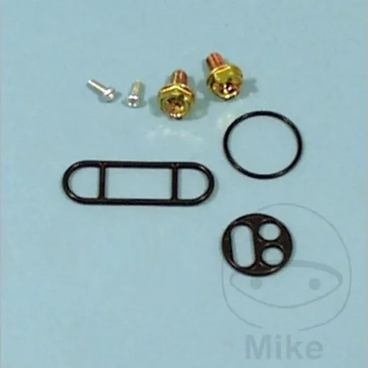 Fuel tank valve repair kit FCK22