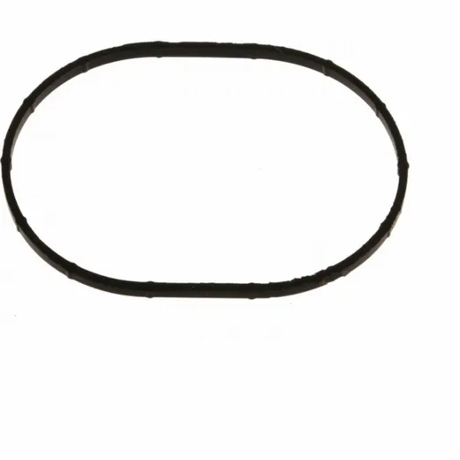 Intake gasket athena 425723