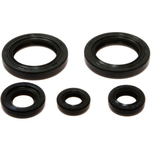 Engine oil seal kit for: KTM Duke