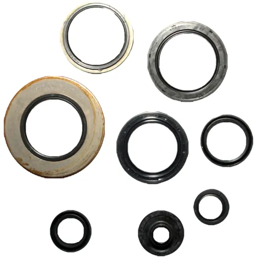 Engine Oil Seal Kit for Motorcycles 7340493