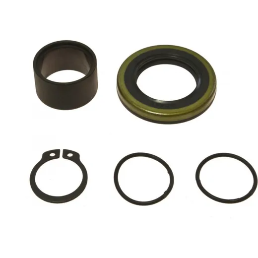 Counter shaft seal kit 254013