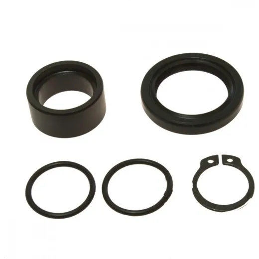 Counter shaft seal kit 254029