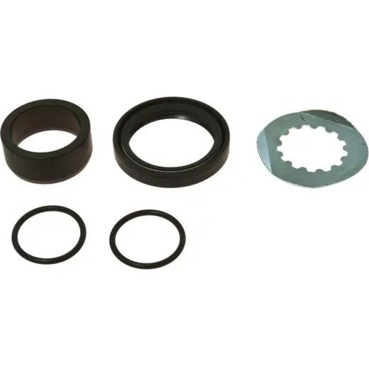 Counter shaft seal kit 254021