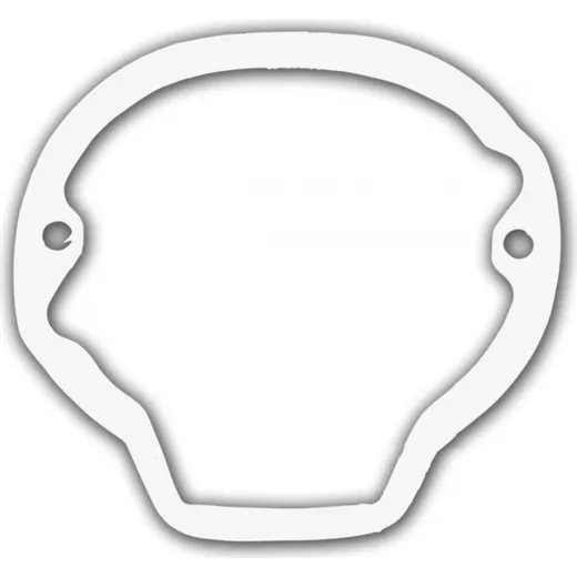 Outer generator cover gasket