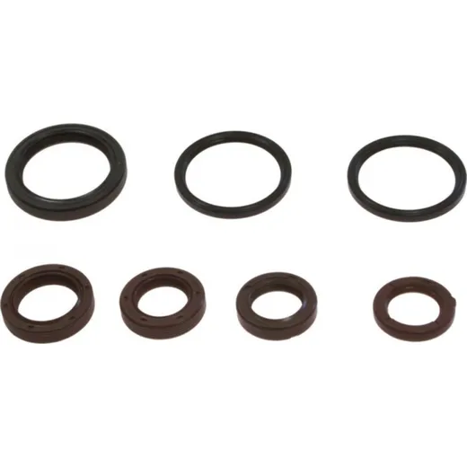 Engine oil seal kit P400480400128