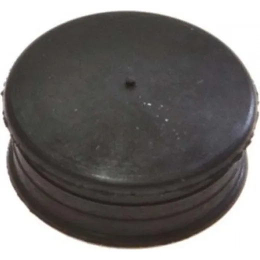 Camshaft plug S410210015066