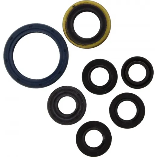 Engine oil seal kit P400250400066