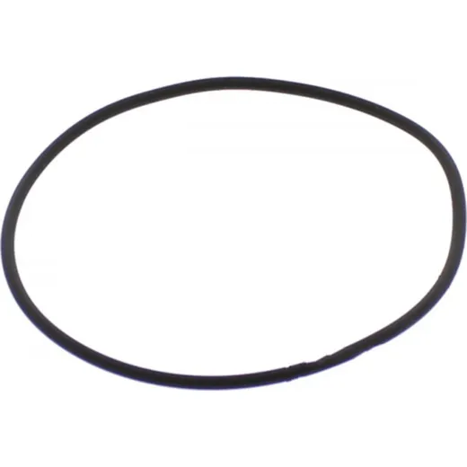 Cylinder head gasket O-Ring for KTM EGS M752006000094