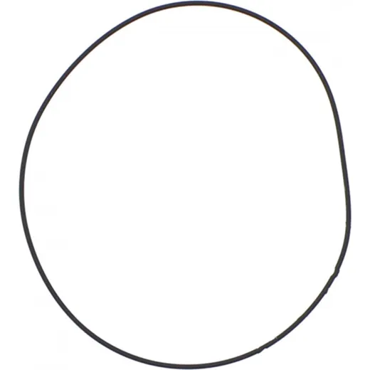 Cylinder head gasket o-ring M751809805004