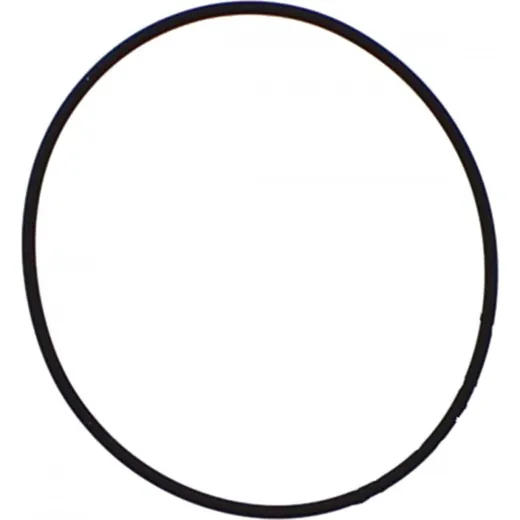 Zylinderkopfdichtung O-Ring Athena M752006200094