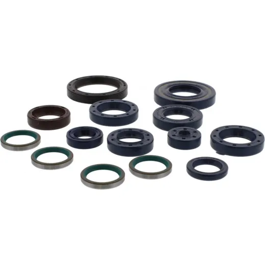 Engine oil seal kit P400110400101