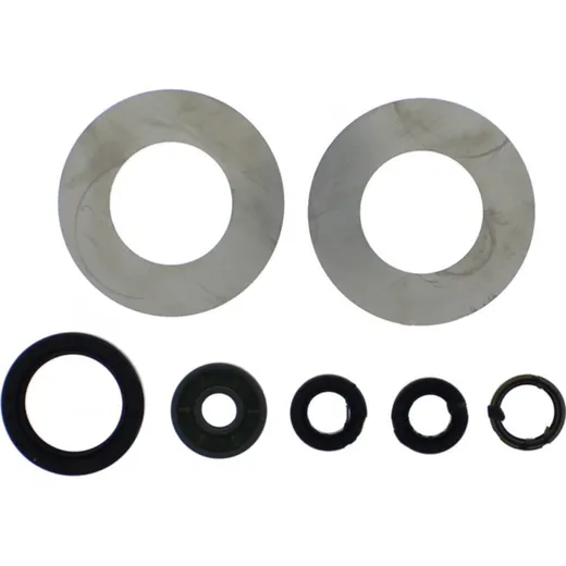 Shaft seal Set P400270400081
