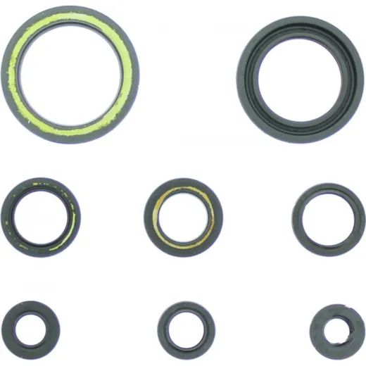 Engine oil seal kit P400210400202