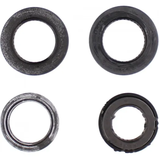 Engine oil seal kit P400210400238