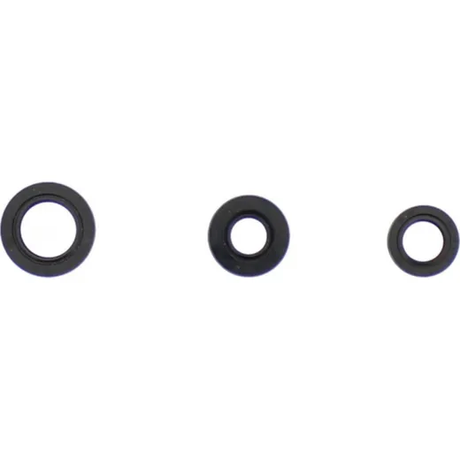Engine oil seal kit P400250400006