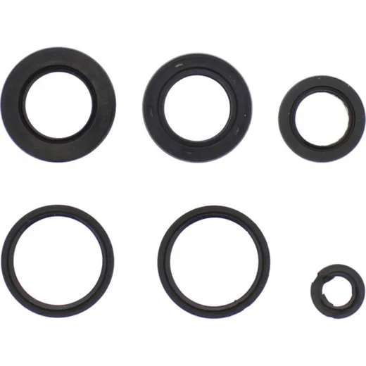 Engine oil seal kit P400325400003