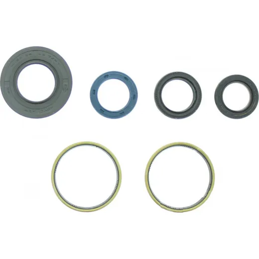 Engine oil seal kit P400485400015