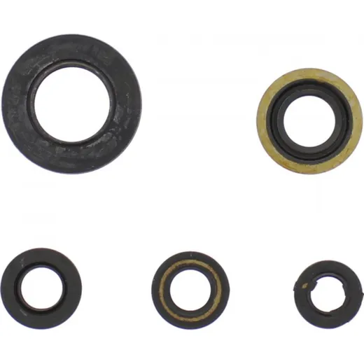 Engine oil seal kit P400485400022