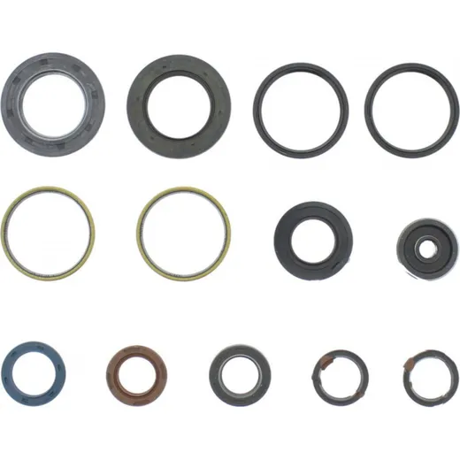 Engine oil seal kit P400485400067