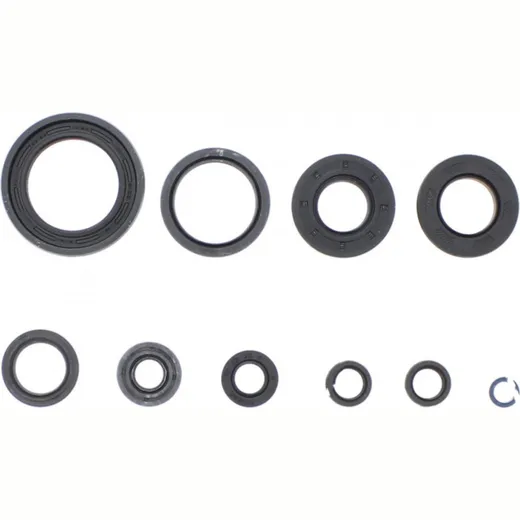 Engine oil seal kit P400485400267