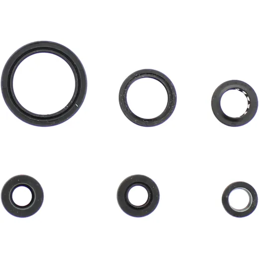 Wellendichtring Satz für Motoren 7342055