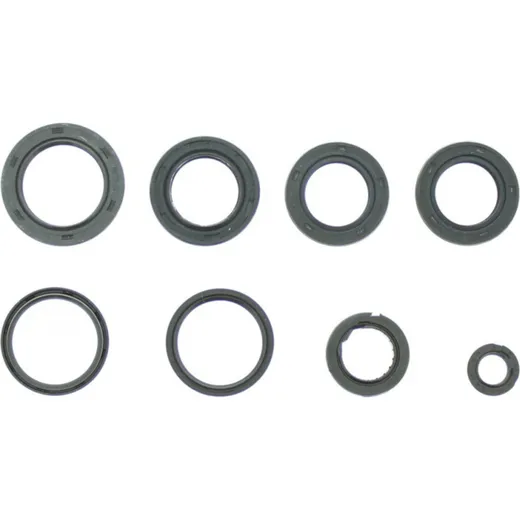 Engine oil seal kit P400550400004