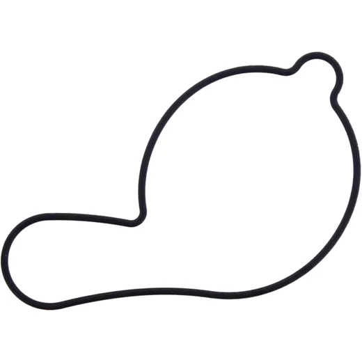 Water pump seal for: Gas Gas EC