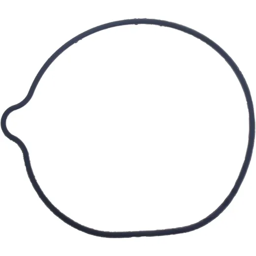 Water pump seal for: Honda XRV, VT, VFR