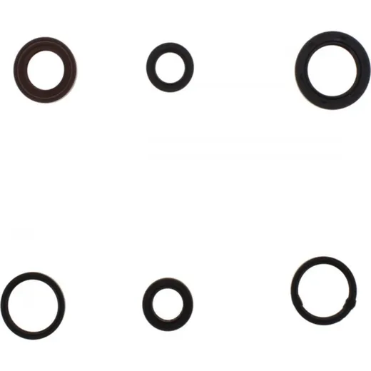 Engine oil seal kit P400550400006
