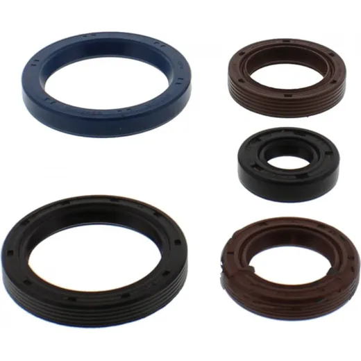 Engine oil seal kit P400480400035