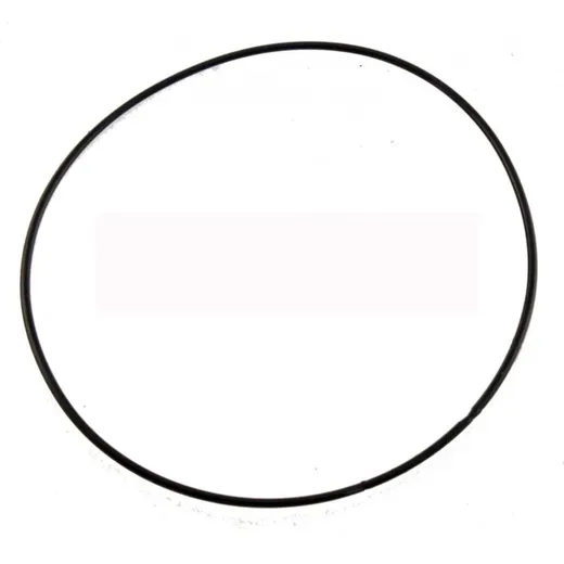 O-Ring 100706210